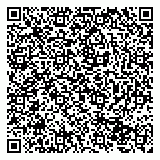 vCard 79207000731