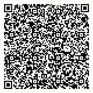 vCard 79207000740