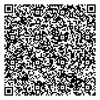 vCard 79207000747