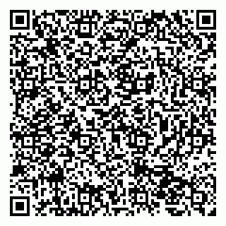 vCard 79207000869