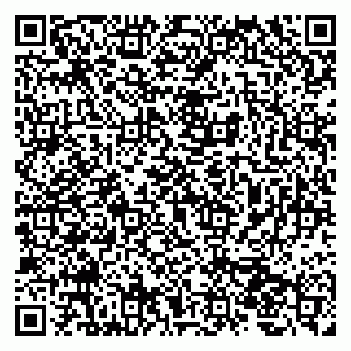 vCard 79207000873