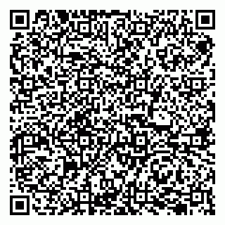 vCard 79207000874