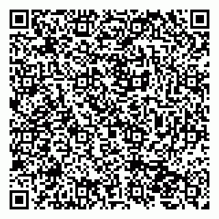 vCard 79207000880