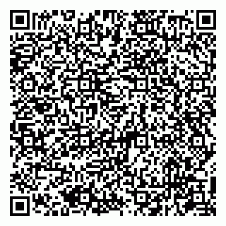 vCard 79207000919