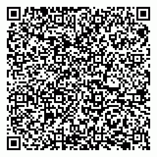 vCard 79207000933