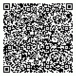 vCard 79207000973