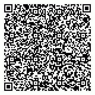 vCard 79207000981