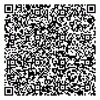 vCard 79207001002