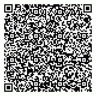 vCard 79207001003