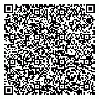 vCard 79207001004