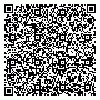 vCard 79207001013