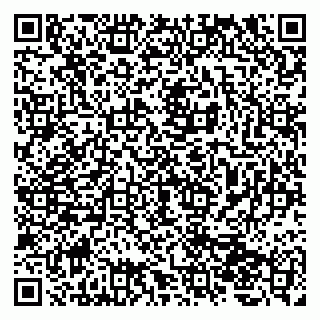 vCard 79207001033