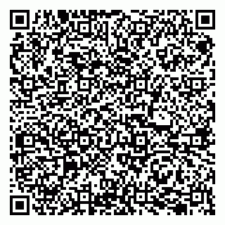 vCard 79207001036