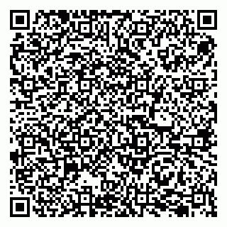 vCard 79207001038