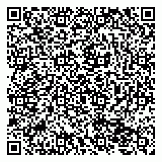 vCard 79207001041
