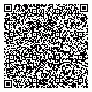 vCard 79207001043