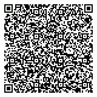 vCard 79207001074