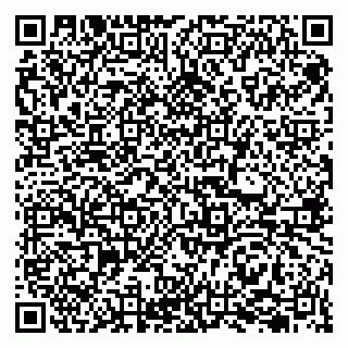 vCard 79207001111
