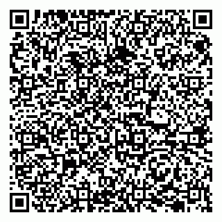 vCard 79207001333