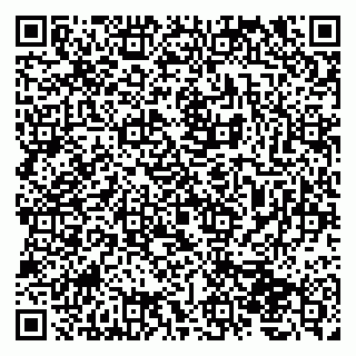 vCard 79207001381
