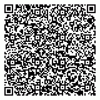 vCard 79207001391