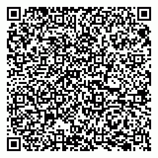 vCard 79207001733