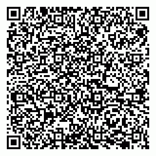 vCard 79207001911