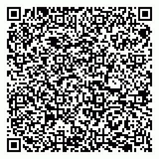vCard 79207002013