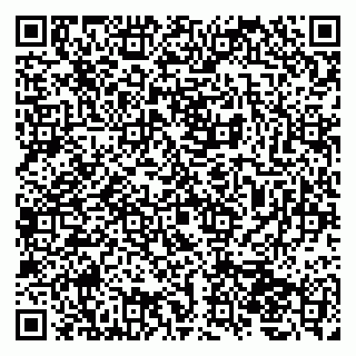 vCard 79207002035