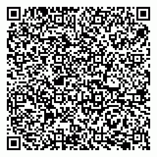 vCard 79207002039