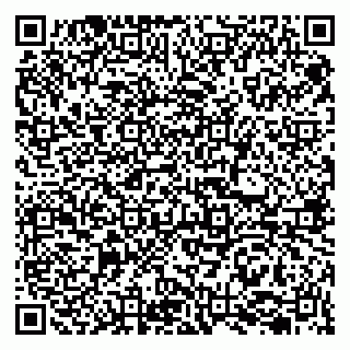 vCard 79207002511