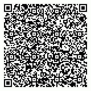 vCard 79207002604
