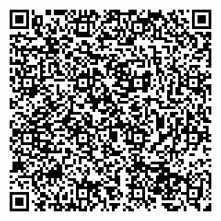 vCard 79207002619