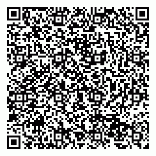 vCard 79207002687