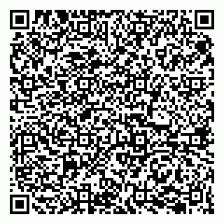 vCard 79207002701