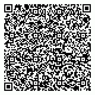 vCard 79207002887