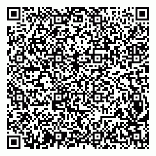 vCard 79207002893