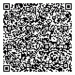 vCard 79207002941