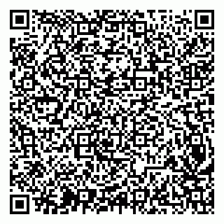 vCard 79207003003