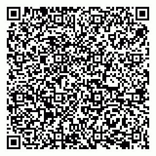 vCard 79207003009