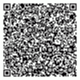 vCard 79207003018