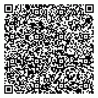 vCard 79207003019