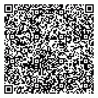 vCard 79207003021
