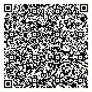 vCard 79207003032