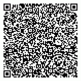 vCard 79207003095