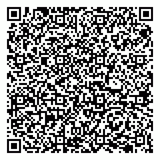 vCard 79207003221