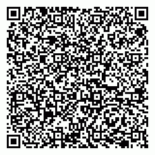 vCard 79207003271