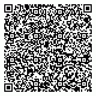 vCard 79207003303