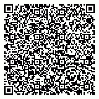 vCard 79207003381