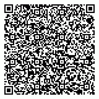 vCard 79207003402